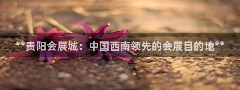 果博客服微信是多少：**贵阳会展城：中国西南领先的会展目的地**