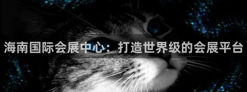 果博怎么注册账号和密码：海南国际会展中心