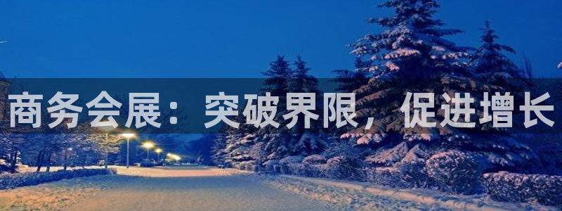果博有假吗：商务会展：突破界限，促进增长