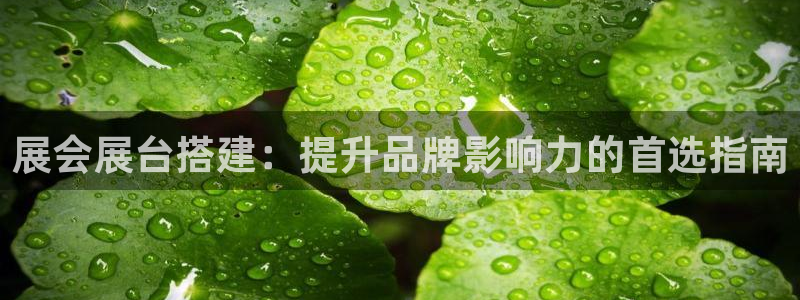 果博公司客服：展会展台搭建：提升品牌影响力的首选指南