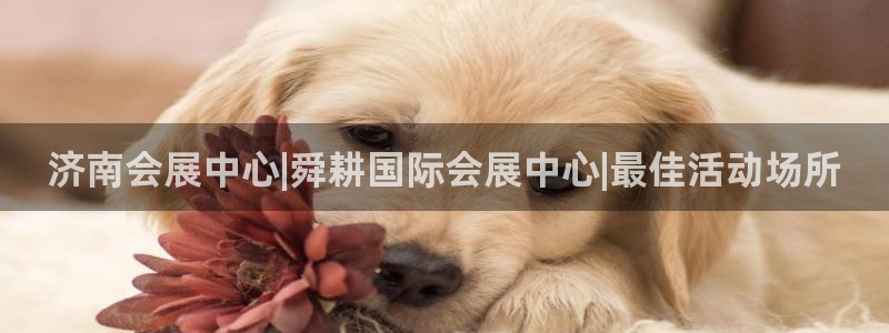果博公司网站：济南会展中心|舜耕国际会展中心|最佳活动场所