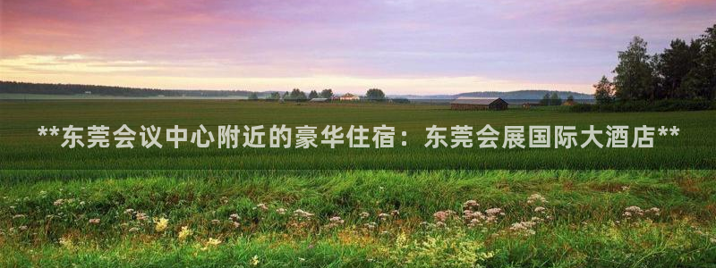 果博公司在线客服：**东莞会议中心附近的豪华住宿：东莞会展国际大酒店**