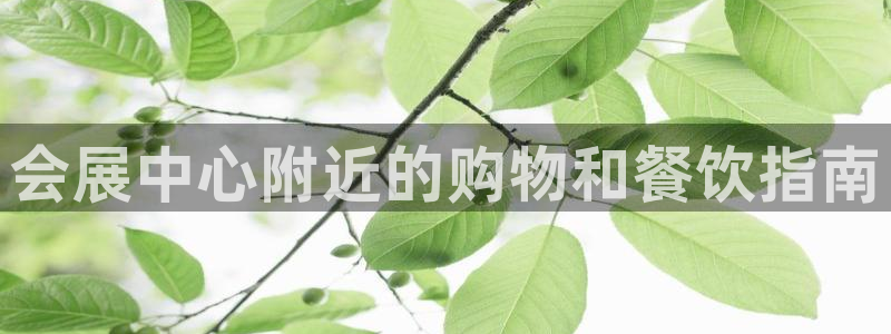 果博手机下载：会展中心附近的购物和餐饮指南