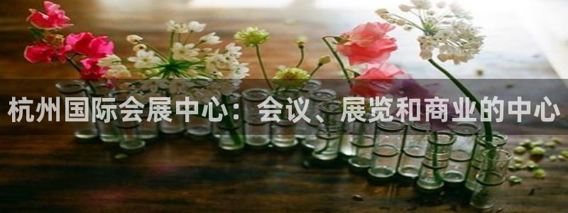 果博注册客服电话号码查询：杭州国际会展中心：会议、展览和商业的中心