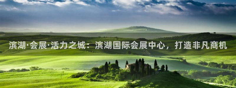 果博注册电话：滨湖·会展·活力之城：滨湖国际会展中心，打造非凡商机