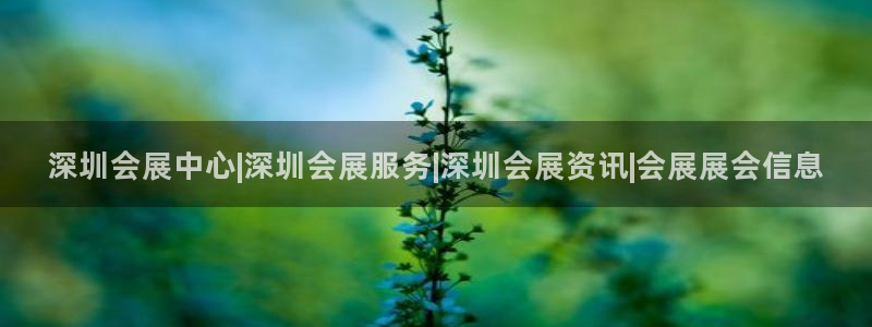 果博集团：深圳会展中心|深圳会展服务|深圳会展资讯|会展展会信息