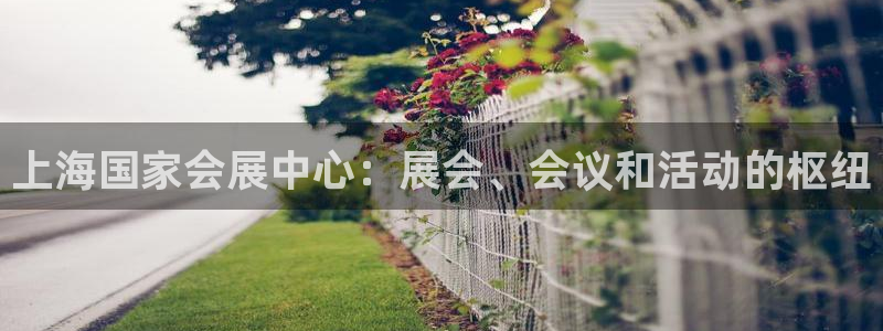 果博官网在银博：上海国家会展中心：展会、会议和活动的枢纽