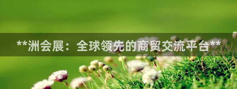 果博公司上分客服：**洲会展：全球领先的商贸交流平台**