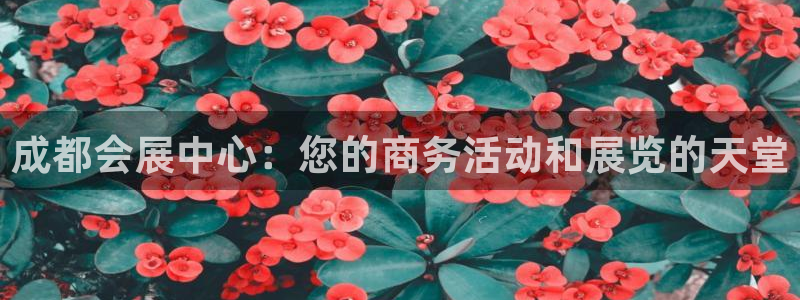 果博公司客服怎么样：成都会展中心：您的商务活动和展览的天堂