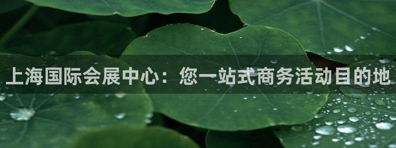 果博注册客服电话是多少：上海国际会展中心