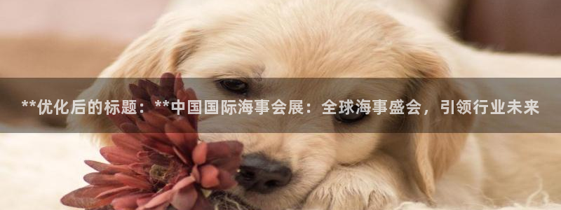果博官方热线：**优化后的标题：**中国国际海事会展：全球海事盛会，引领行业未来