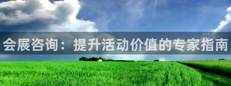果博注册会员：会展咨询：提升活动价值的专家指南