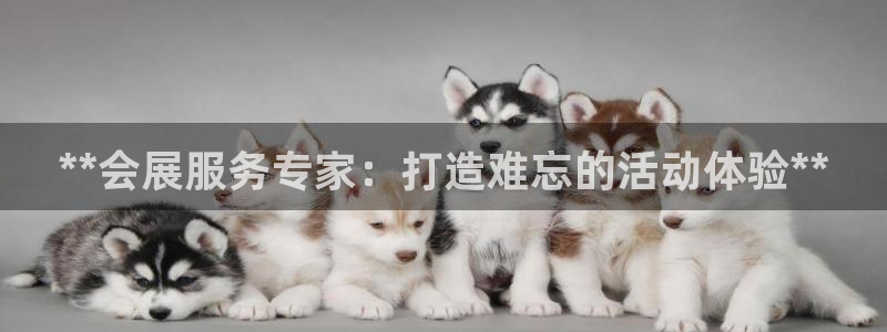 果搏代理：**会展服务专家：打造难忘的活动体验**