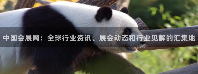 果博官网客服：中国会展网：全球行业资讯、