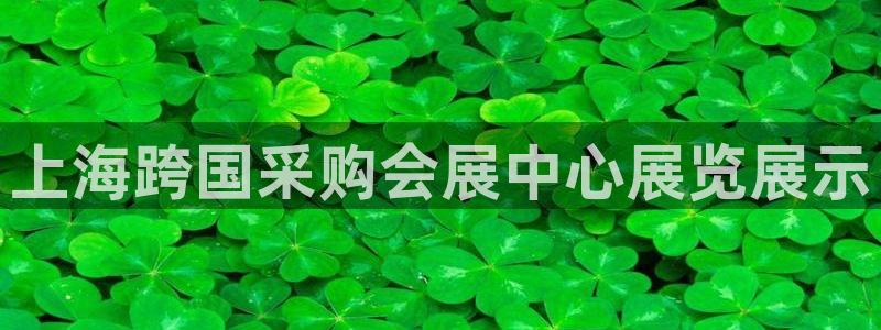 果博代理怎么注册：上海跨国采购会展中心展览展示