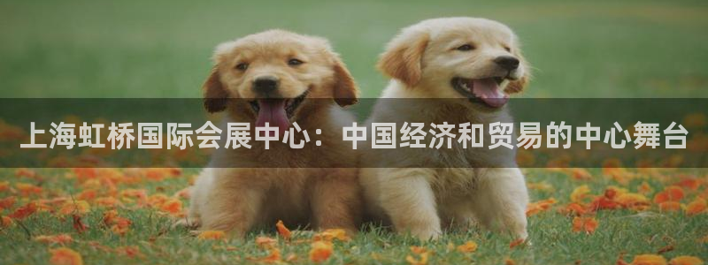 果博客服电话多少：上海虹桥国际会展中心：中国经济和贸易的中心舞台