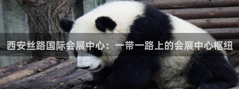 果博官网客服：西安丝路国际会展中心：一带