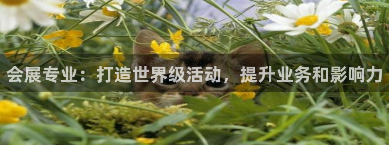果博平台开户电话号码：会展专业：打造世界