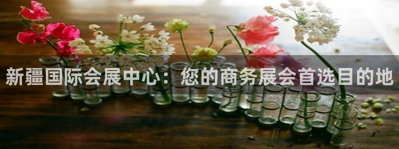 下载果博：新疆国际会展中心：您的商务展会首选目的地