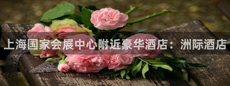 果博东手机版下载开户：上海国家会展中心附近豪华酒店：洲际酒店