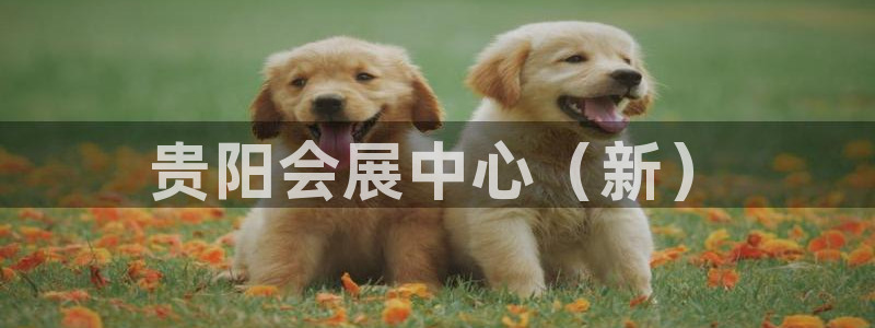 果博服务电话：贵阳会展中心（新）