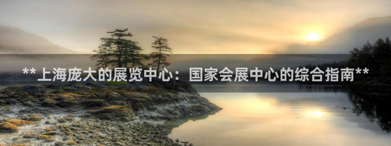 果博平台链接：**上海庞大的展览中心：国家会展中心的综合指南**