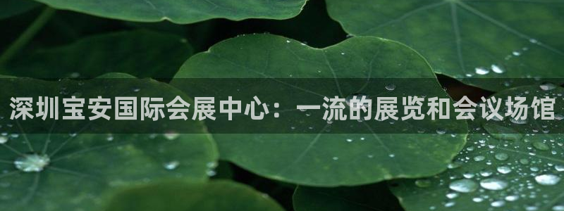果博官网在银博：深圳宝安国际会展中心：一流的展览和会议场馆
