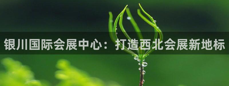 果博有假吗：银川国际会展中心：打造西北会