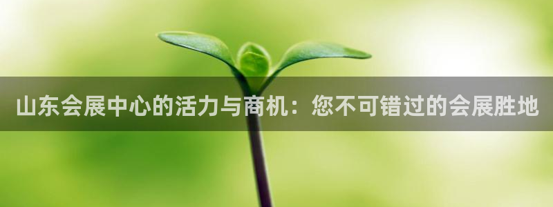 果博公司网站：山东会展中心的活力与商机：