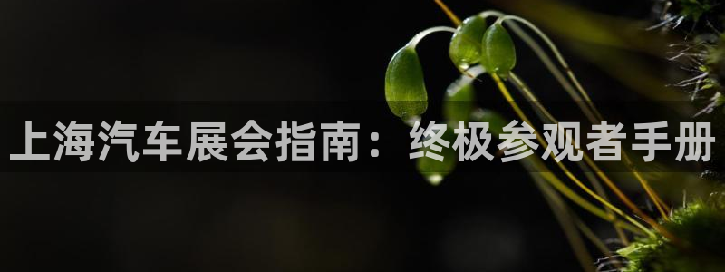 果博公司客服：上海汽车展会指南：终极参观者手册