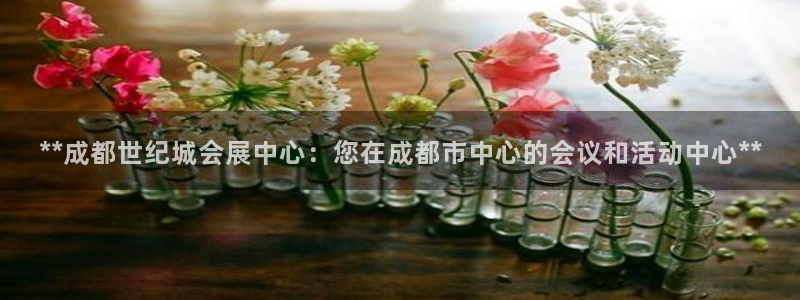 果博客服电话多少：**成都世纪城会展中心：您在成都市中心的会议和活动中心**