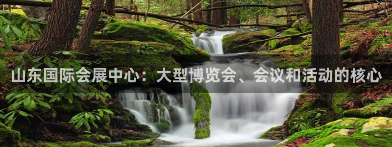 苹果电脑怎么下载伯索：山东国际会展中心：