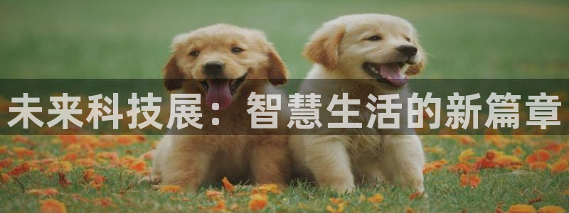 果博账号注册要钱吗：未来科技展：智慧生活