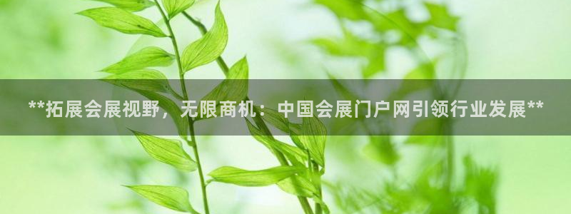 果博手机下载：**拓展会展视野，无限商机：中国会展门户网引领行业发展**