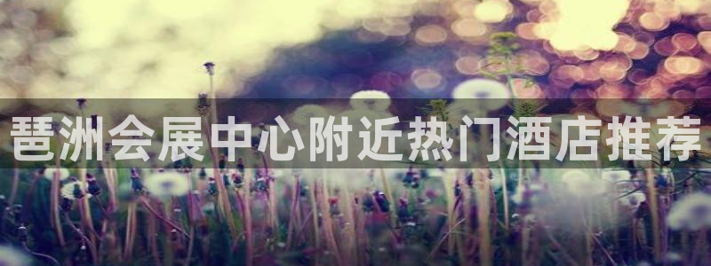 果博公司会员开户：琶洲会展中心附近热门酒店推荐