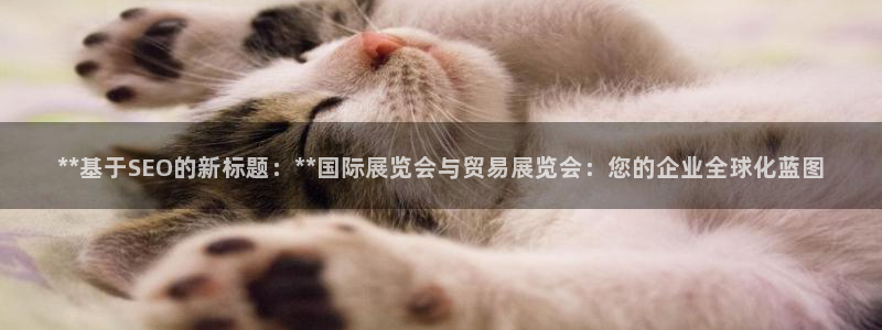 果博注册客服电话是多少号码：**基于SEO的新标题：**国际展览会与贸易展览会：您的企业全球化蓝图