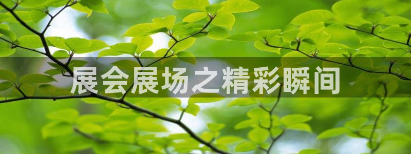 果博手机下载：展会展场之精彩瞬间