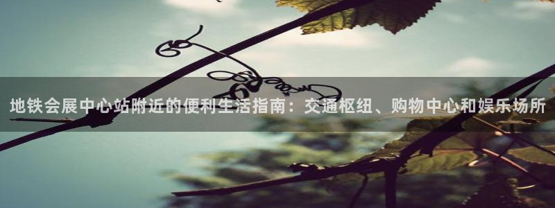 下载果博app：地铁会展中心站附近的便利生活指南：交通枢纽、购物中心和娱乐场所