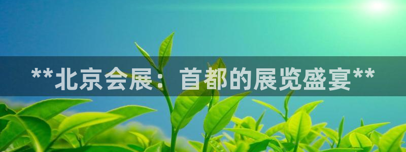 果博平台开户电话查询：**北京会展：首都的展览盛宴**