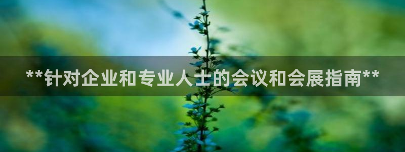 果博服务电话：**针对企业和专业人士的会议和会展指南**