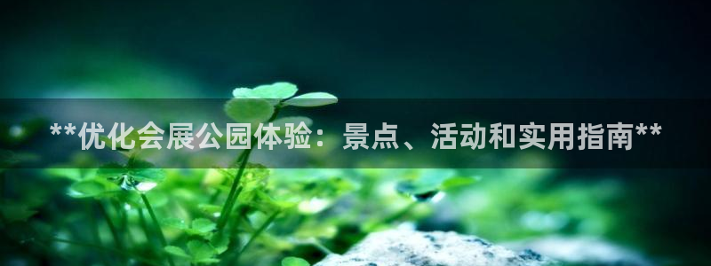 果博注册平台怎么注册不了：**优化会展公园体验：景点、活动和实用指南**