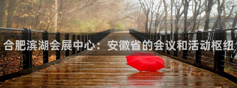 果博园简介：合肥滨湖会展中心：安徽省的会议和活动枢纽