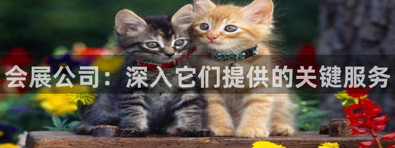 果博注册充值多少钱：会展公司：深入它们提供的关键服务