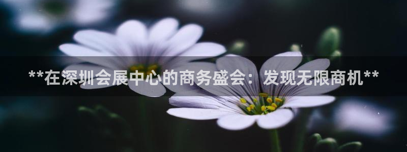 果博注册客服电话：**在深圳会展中心的商务盛会：发现无限商机**