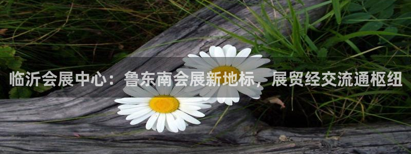 果博公司会员开户：临沂会展中心：鲁东南会展新地标，展贸经交流通枢纽