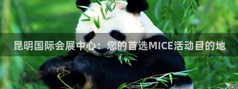 果博手机下载：昆明国际会展中心：您的首选MICE活动目的地