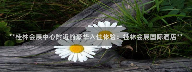 果博公司会员开户：**桂林会展中心附近的