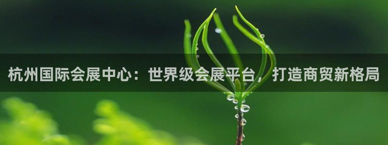 果博官网客服：杭州国际会展中心：世界级会展平台，打造商贸新格局
