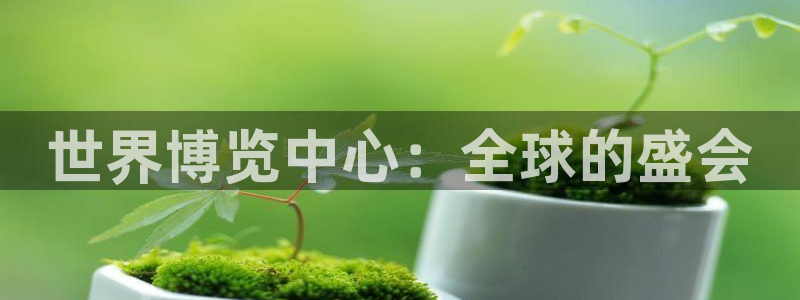 果博公司开户热线：世界博览中心：全球的盛会