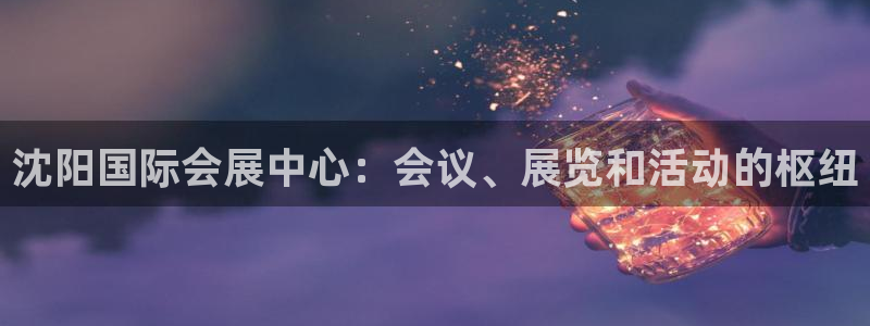 果博平台真实吗安全吗可靠吗：沈阳国际会展